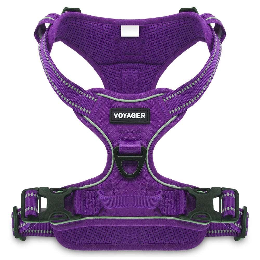 VOYAGER Dual-Attachment Dog Harness in Purple - Front