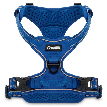 VOYAGER Dual-Attachment Dog Harness in Royal Blue - Front