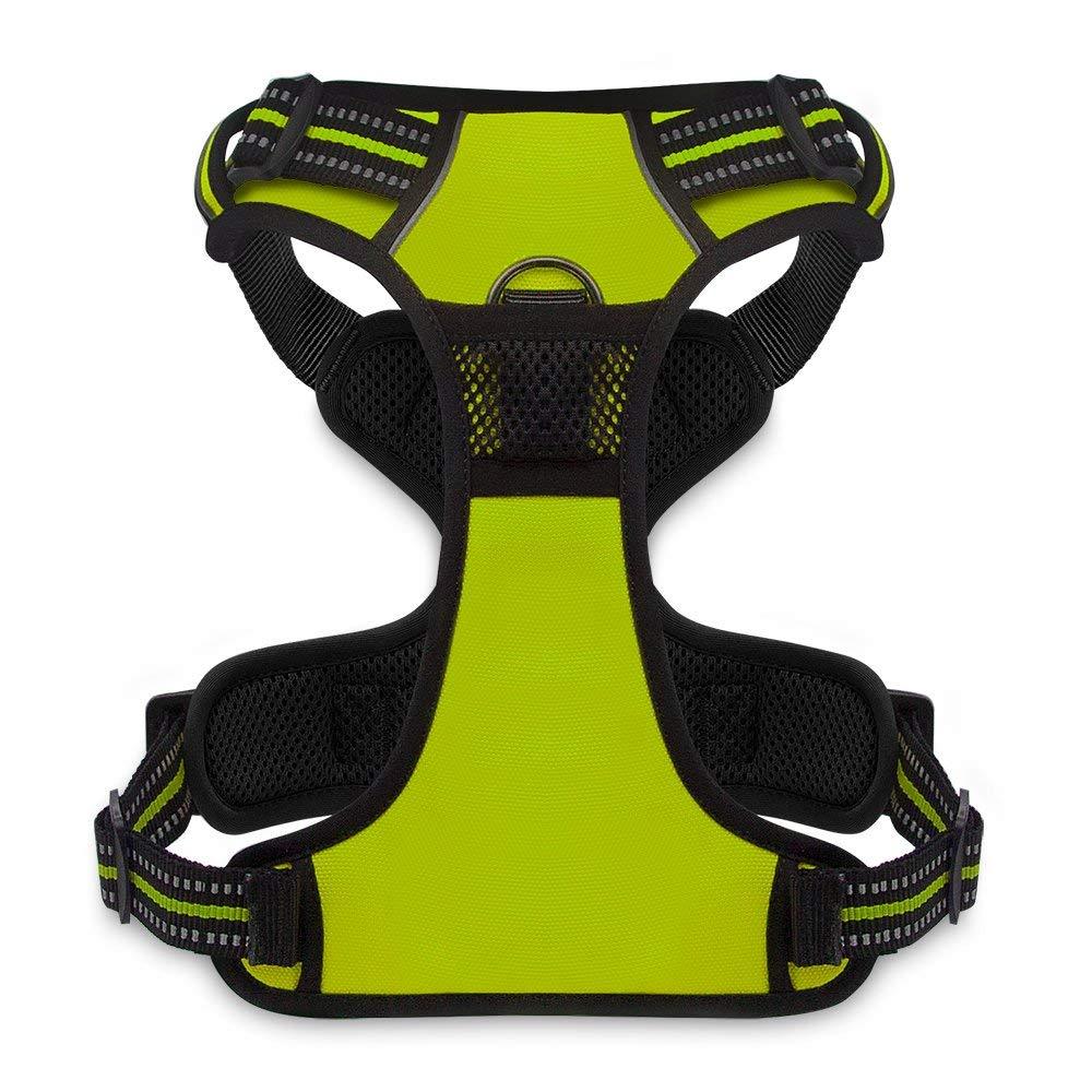 VOYAGER Dual-Attachment Dog Harness in Lime Green - Back