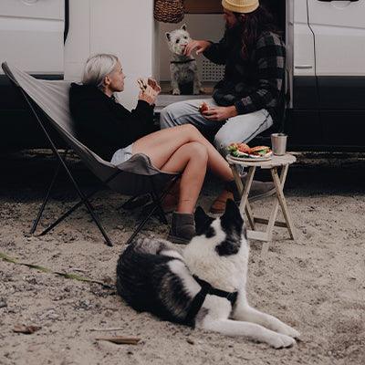 Travelling With Your Pet - VOYAGER Dog Harnesses