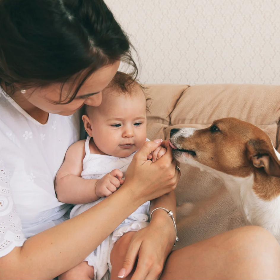 Bringing Baby Home: How to Prepare Your Pet for a New Family Member