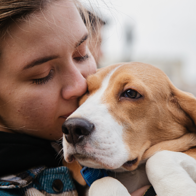 How to Help Your Pet Adjust After a Big Life Change