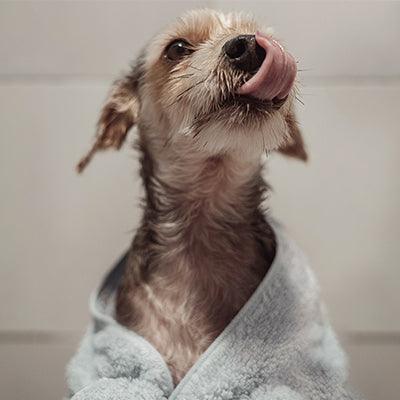 Making Bath Time a Breeze