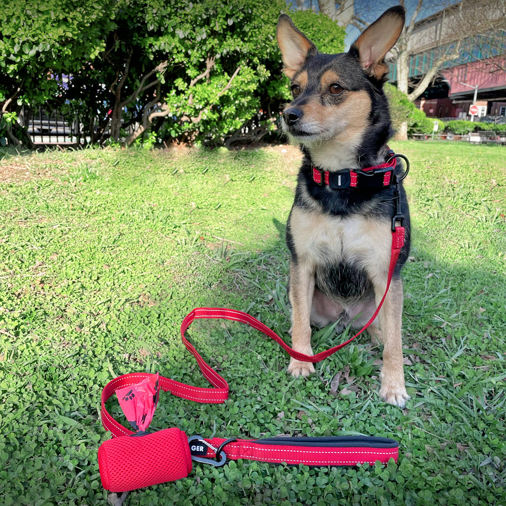 Leash, Collar & Poop Bag Dispenser - VOYAGER Dog Harnesses