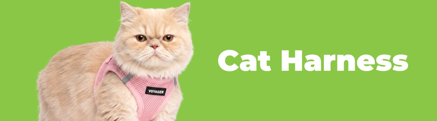 Cat Harnesses - VOYAGER Dog Harnesses