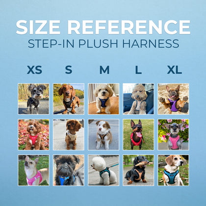 Step-In Plush Faux Leather Pet Harness