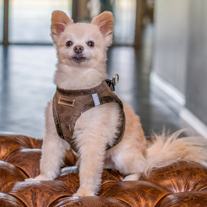Step-In Plush Suede Pet Harness