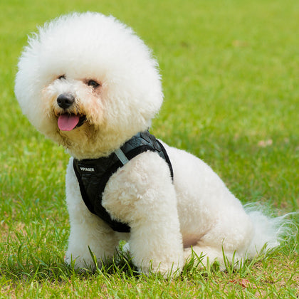 Step-In Plush Faux Leather Pet Harness