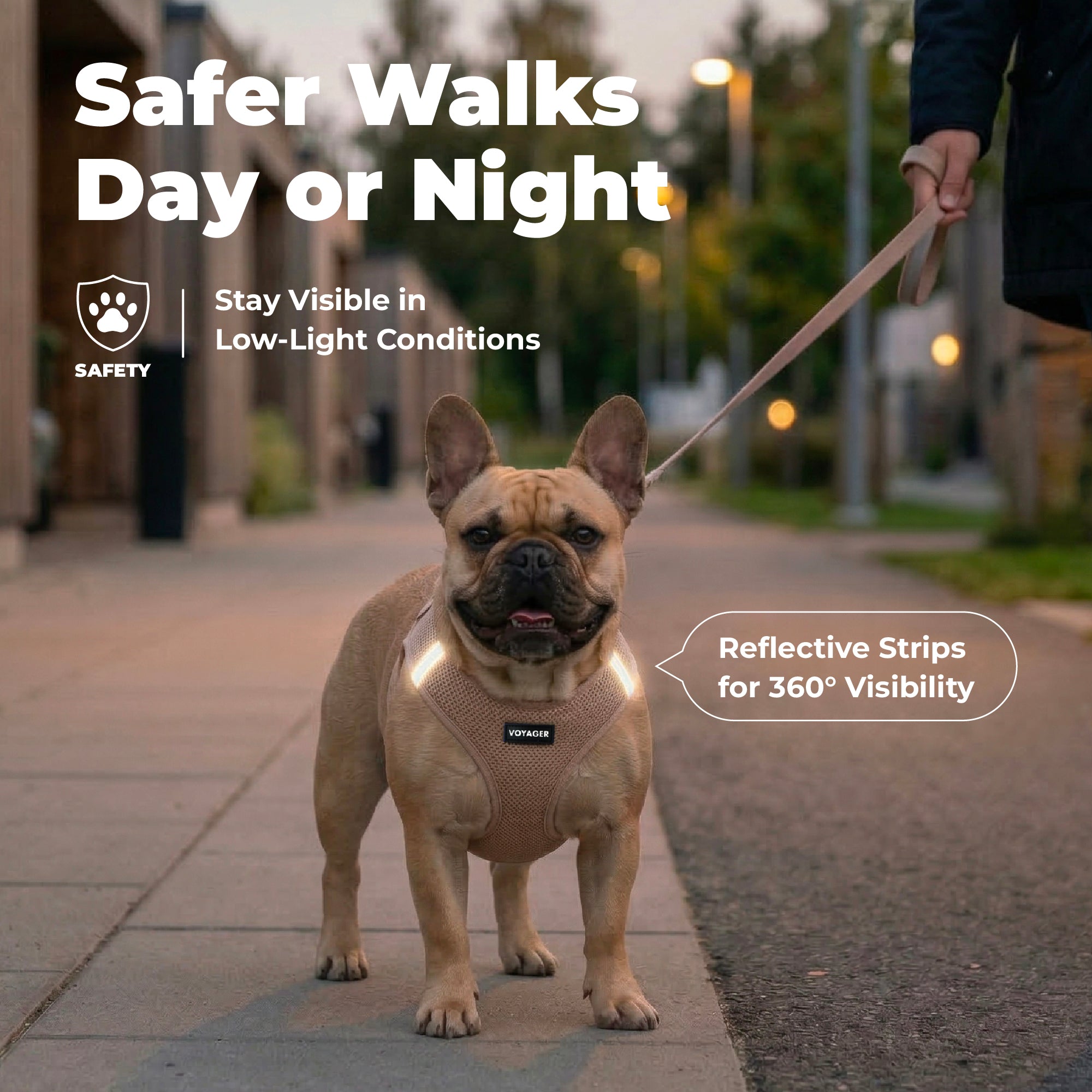 Step-In Air Pet Harness with Matching Trim