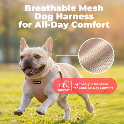 Step-In Air Pet Harness with Matching Trim