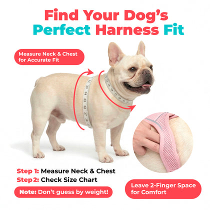 Step-In Air Pet Harness with Matching Trim
