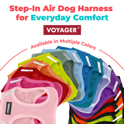Step-In Air Pet Harness with Matching Trim