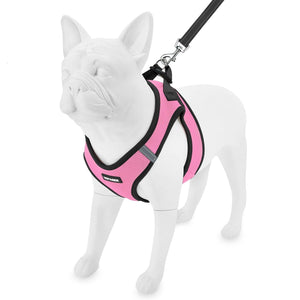 Step-in Air Harness & Leash Set - VOYAGER Dog Harnesses