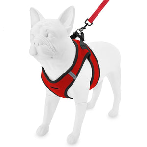 Step-in Air Harness & Leash Set - VOYAGER Dog Harnesses