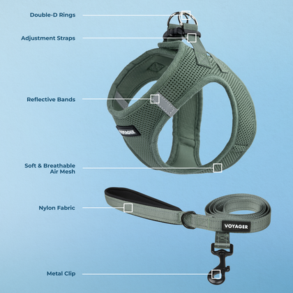 Halloween Step-in Air Harness & Leash Set