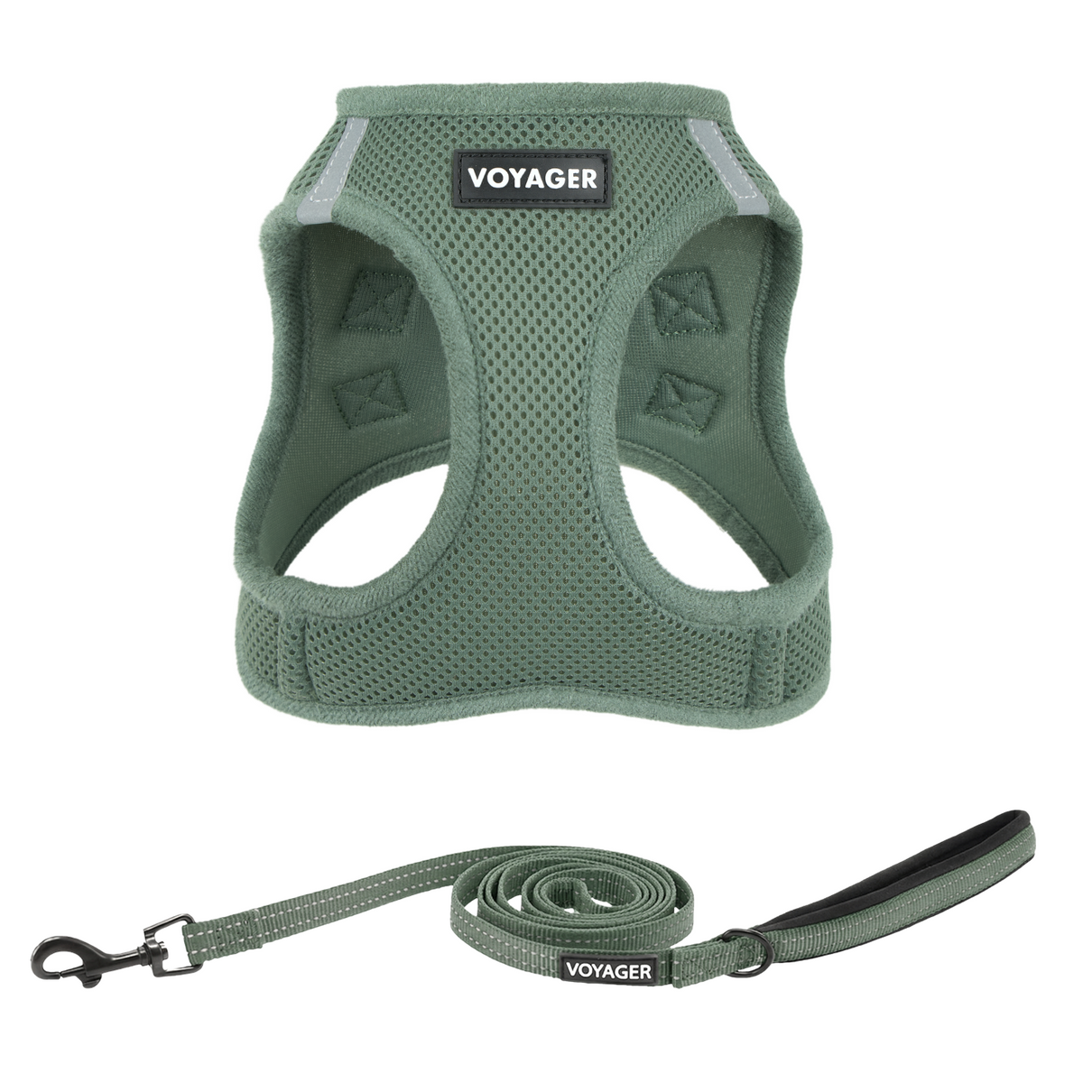 Halloween Step-in Air Harness & Leash Set