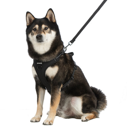 Dual-Attachment Dog Harness