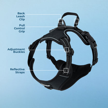 Dual-Attachment Dog Harness