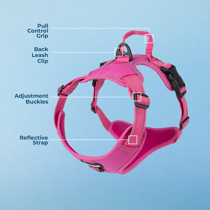 Dual-Attachment Dog Harness