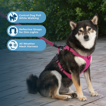 Dual-Attachment Dog Harness