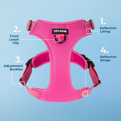 Dual-Attachment Dog Harness
