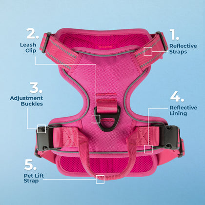 Dual-Attachment Dog Harness