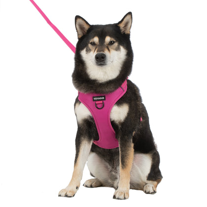 Dual-Attachment Dog Harness