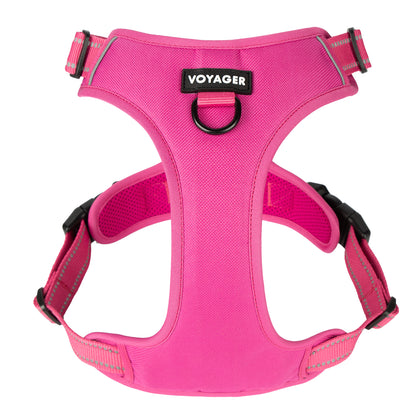Dual-Attachment Dog Harness