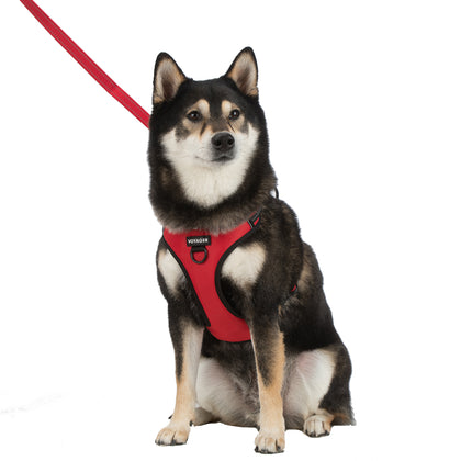 Dual-Attachment Dog Harness