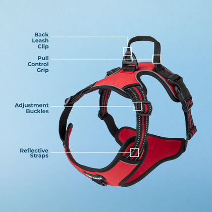 Dual-Attachment Dog Harness