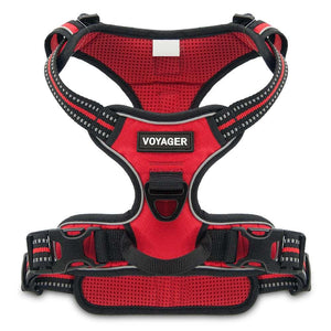VOYAGER Dual-Attachment Dog Harness in Red - Front