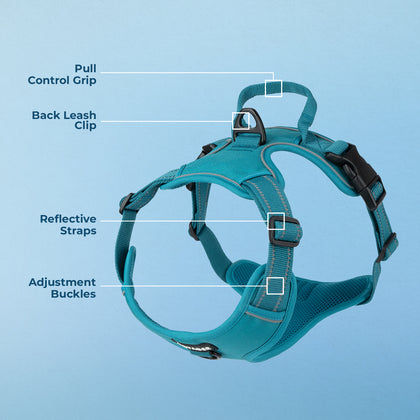 Dual-Attachment Dog Harness