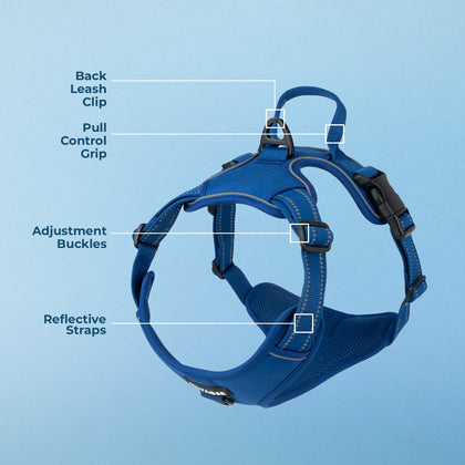 Dual-Attachment Dog Harness