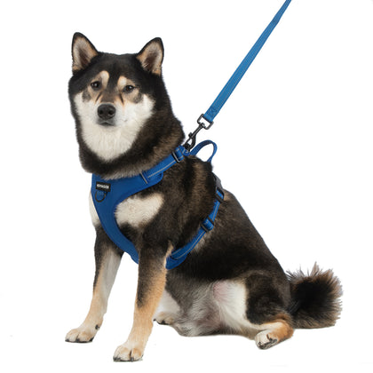 Dual-Attachment Dog Harness