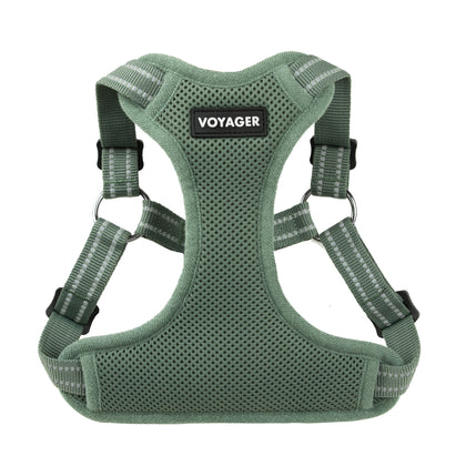Step-In Flex Dog Harness: Comfortable for Every Adventure