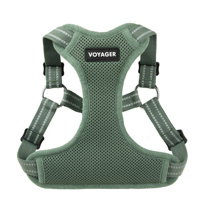 Step-In Flex Dog Harness: Comfortable for Every Adventure