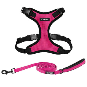 Step-In Lock Harness & Leash Combo Set