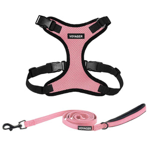 Step-In Lock Harness & Leash Combo Set