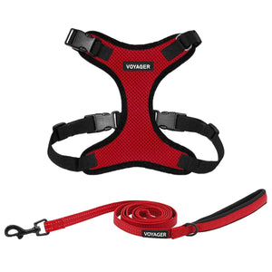 Step-In Lock Harness & Leash Combo Set