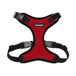 Step-In Lock Harness & Leash Combo Set