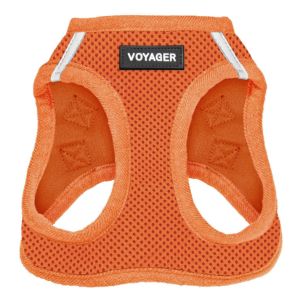 Step-in Air Harness & Leash Set For Cats - VOYAGER Dog Harnesses