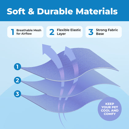 Voyager Escape Proof Cat Harness and Leash with Matching Trim