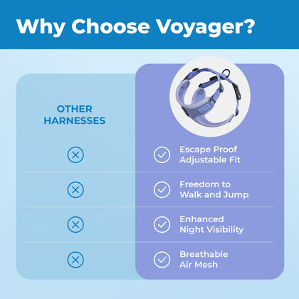 Voyager Escape Proof Cat Harness and Leash with Matching Trim