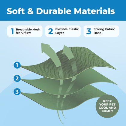 Voyager Escape Proof Cat Harness and Leash with Matching Trim