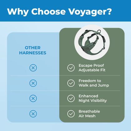 Voyager Escape Proof Cat Harness and Leash with Matching Trim