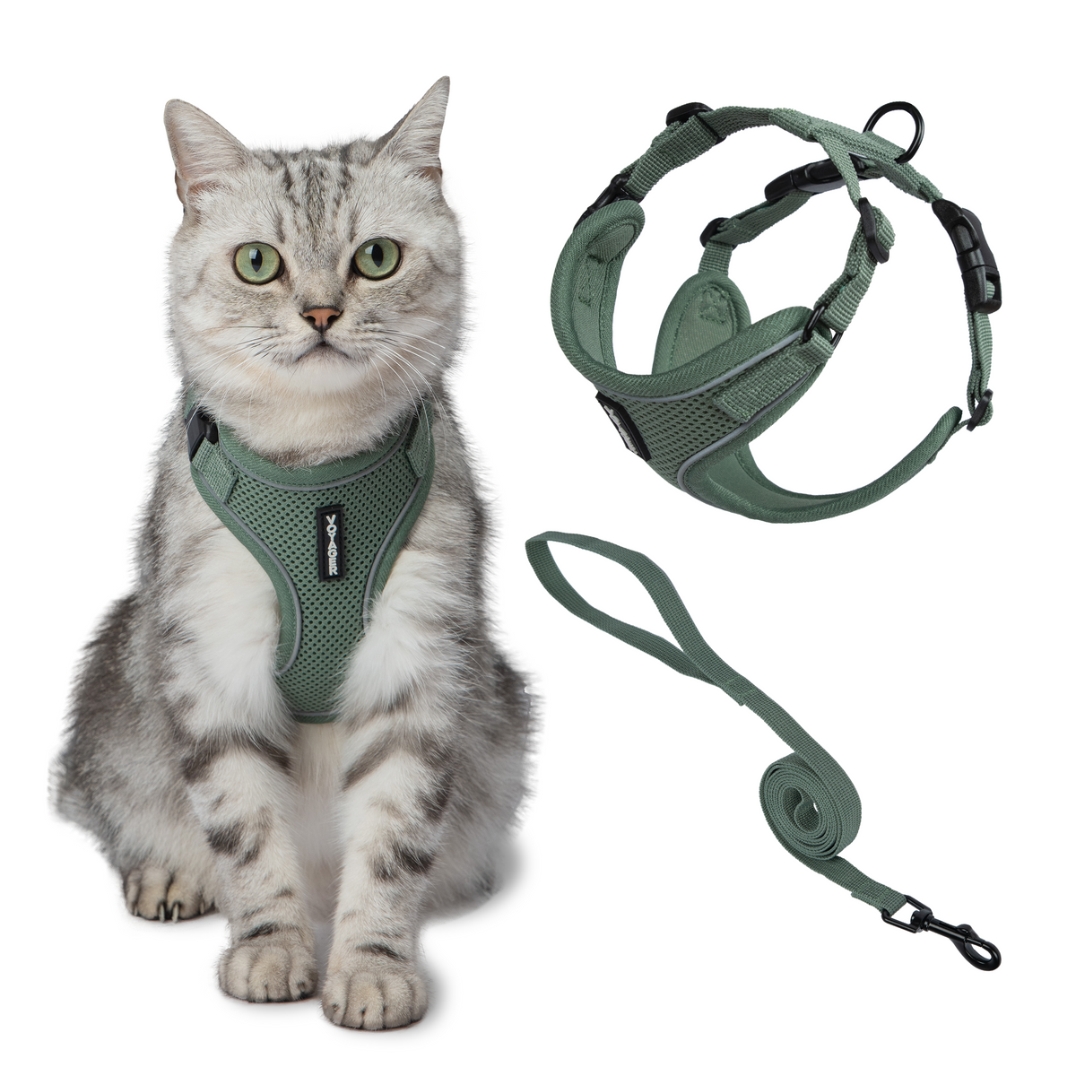 Halloween Voyager Escape Proof Cat Harness and Leash Set