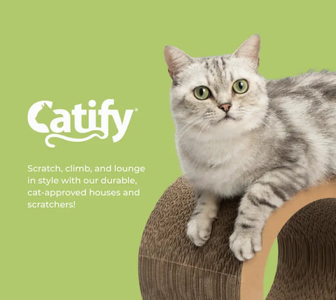 catify-collection