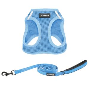 Step-in Air Harness & Leash Set For Cats - VOYAGER Dog Harnesses