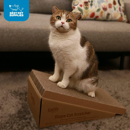 Slope Cat Scratcher - 2 Pack