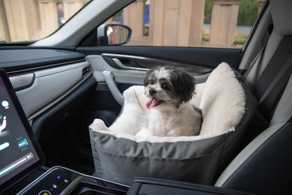 Dog Car Seat